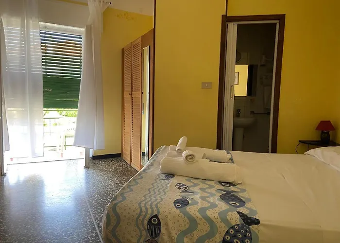 Oasi